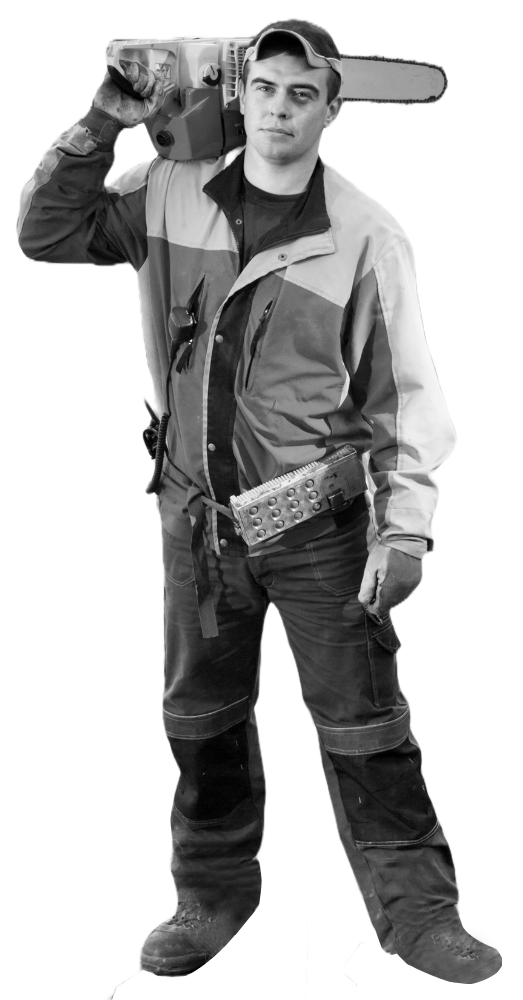 chainsawman chainsawman