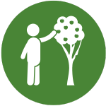 tree-maintenance Tree Maintenance